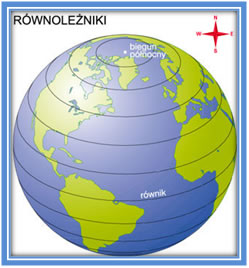 Równolężniki