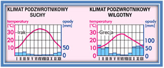 Temperatura i opady klimatu  podzwrotnikowego