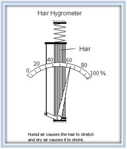 Higrometr Włosowy