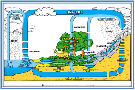 Obieg wody w przyrodzie
