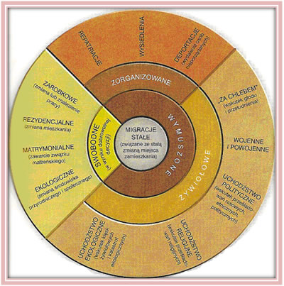 Przyczyny migracji stałych