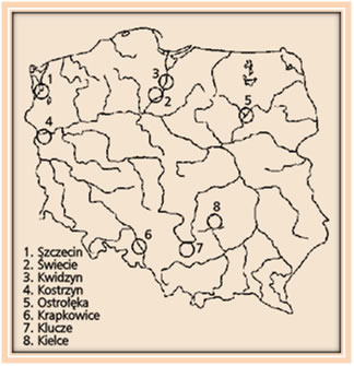 Przemysł drzewno-papierniczy w Polsce