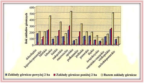 Na wykresie  podział zakładów górniczych według obszaru prowadzonej działalności w  poszczególnych województwach