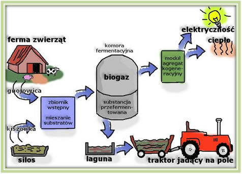 Energia wytwarzana  dzięki odpadom organicznym przetwarzanym na biogazy